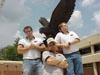 Tom, andy, bryan by eagle